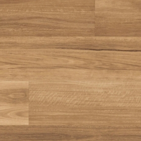 LooseLay - Lemon Spotted Gum Swatch
