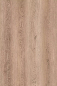 Castles - Neuschwanstein Swatch