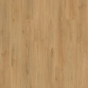 Barker Hollow - Daisy Swatch