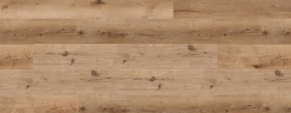 Eiche - Honig Swatch