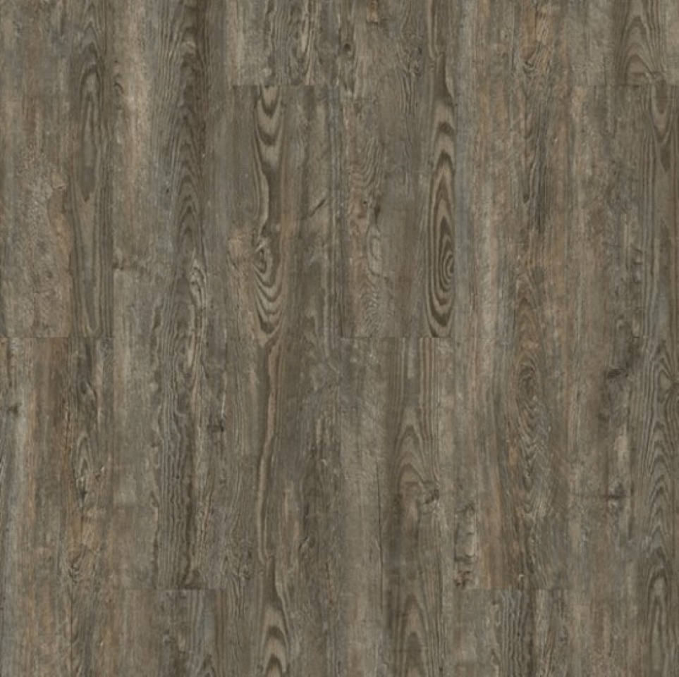 Titanium Plus