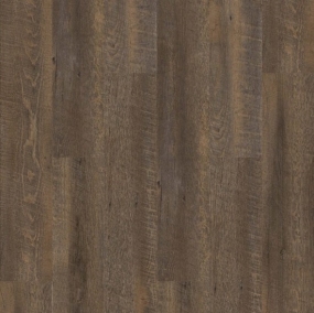 Titanium Plus - Sienna Swatch